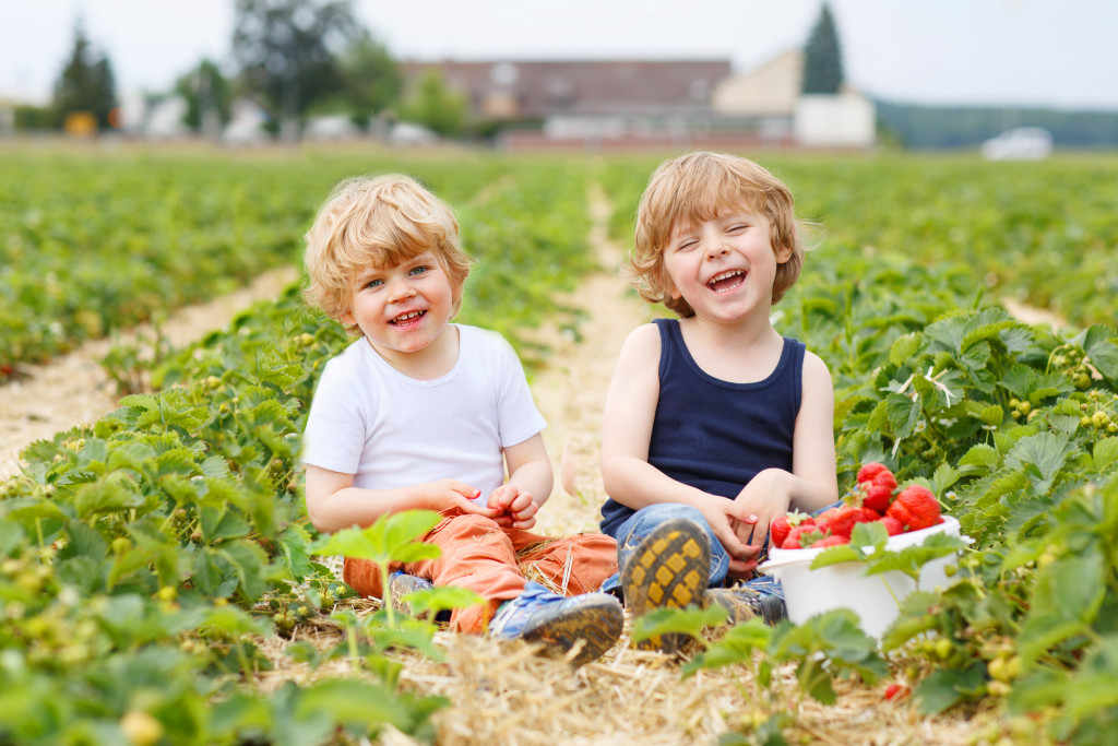 shutterstock kids shutterstock kids